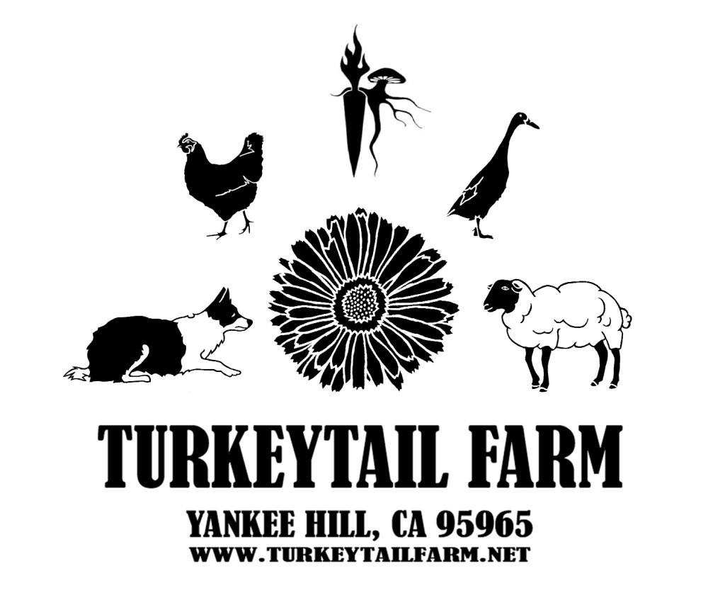 Turkeytail Farm Logo MED